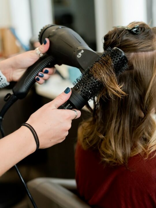 Professional Hair Dryer 2400W